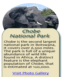Chobe Photo Gallery 1